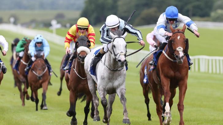 Horse racing at Cork